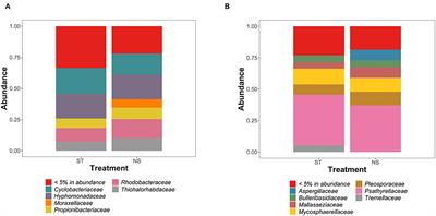 The Bacterial and Fungal Microbiota of Saccharina latissima (Laminariales, Phaeophyceae)